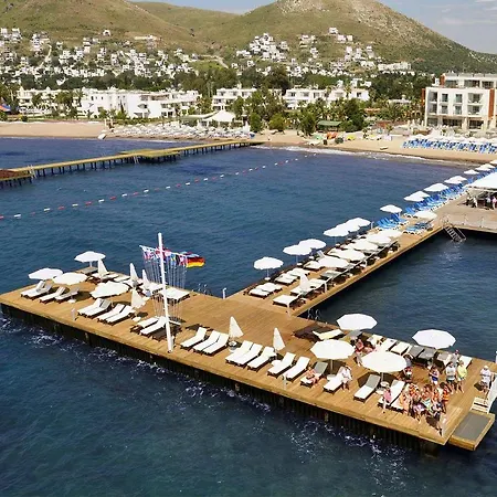 Sundance * Bodrum